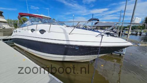Glastron GS 289 specificaties 